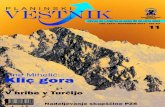 Klic gora - Planinski Vestnikplaninskivestnik.com/arhiv/pdf/pv_2004_11.pdf · slovom Klic gora, v kateri je veliki alpinist in planinski pisec orisal svojo alpinistično pot, svoje