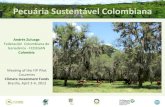 Pecuária Sustentável Colombiana · 2019. 8. 21. · Ganadería Colombiana Sostenible Mainstreaming Biodiversity in Sustainable Cattle Ranching in Colombia Uma aliança de sucesso