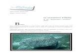 La newsletter d’Aloha - voilier-aloha.com · La deuxième semaine est consacrée à la peinture du pont. Laver, poncer, première couche, attendre 12h, deuxième couche, attendre