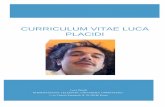 Curriculum vitae Luca placidi - uninettunouniversity.net · 10/17/2017  · I took the first PhD in 2004 at the Technical University of Darmstadt working with Prof. K. Hutter and