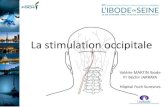 La stimulation occipitale - Unaibodejnep2018.unaibode.fr/IMG/pdf/stimulation_occipitale-v.martin_pr_jarr… · •Traçabilité des dispositifs médicaux implantables . La stimulation