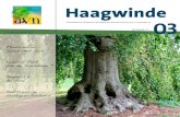 Haagwinde 03 - AVN€¦ · Esther Vogelaar Eindredactie, lay-out, tekeningen en foto’s: De Groene Vraagbaak (tenzij anders ... gaat om de eigenschappen rust, natuur en stilte. De