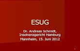 ESUG - Universität Mannheim | Universität Mannheim · 14 II. Vorläufiger Gläubigerausschuss • Anforderungen an den vorläufigen Gläubigerausschuss, §§ 21 Abs.1 S.1 Nr.1a,