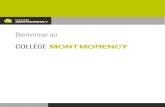 Bienvenue au - Collège Montmorency · 2018. 5. 18. · 7 Pour la liste des cours de philosophie. Séquence des cours à suivre en Philosophie : 1 er PHILOSOPHIE Philosophie et rationalité