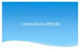 Clostridium difficile difficile1.pdf · Clostridium difficile infection(CDI) CDI症狀包括腹瀉、偽膜性腸炎、巨腸症 嚴重會導致敗血症甚至死亡 復發性感染機率高(20~30％)