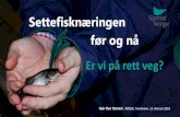 New Settefisknæringen før og nå · 2020. 9. 16. · Norsk havbruk skal stå for verdens mest miljøvennlige produksjon av sunn mat. Vi skal levere sjømat, produksjonskompetanse