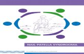 Invalidiliiton Harvinaiset-yksikkö: Nail-patella syndrooma · Vain NPS:aa sairastavilla esiintyy suoliluun sarvia. Nämä kartionmuotoiset luumuodos - tumat sijaitsevat lantion etu-
