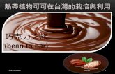 熱帶植物可可在台灣的栽培與利用 - tc.edu.tw · 巧克力加工實務 2019/7/8 34 巧克力手工調溫技巧 1.將巧克力加熱到融化溫度50℃融成液態，可可脂們也都開始放