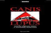 New Canis lupus између обредне маске и књижевне животиње · 2017. 5. 22. · Canis lupus и културно памћење 15 Драган Б.