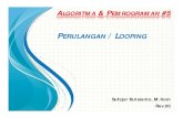 ALGORITMA & PEMROGRAMAN #5sufajar.com/algoritma1/AlgoT5.pdf · Jenis Perulangan dalam C for(