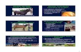Mavesår hos heste¥r-hest.pdf · minimum 1,5 kg (TS) pr 100 kg hest = 9 kg/dag for en 500 kg hest • Hvis hesten kan administrere det – frit govfoder • Hyppige måltider: undgå