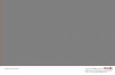 Logopæd, Dorte Steen¦g-Isaac-2016-SCA.pdf · 2016. 10. 27. · Supported Conversation for Adults with Aphasia Samtalestøtte til voksne med afasi Udviklet på Aphasia Institute