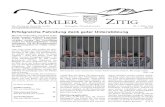 Ammler Zitig - Gemeinde Amden · 2014. 3. 17. · Wesentlichen um den Ersatz des Sandfil-ters, den Ersatz von drei Fenstern, eine minimale Dachsanierung und den Ersatz des Elektrotableaus.