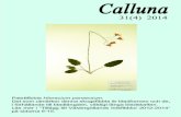 Calluna · ett lyckokast, det är nå’t visst med sandfil-ter. Växter trivs där, om det är fukten eller att det är lite upphöjt vet vi inte, men sena-re gjorde vi stora fynd