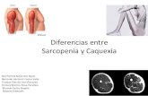 Diferencias*entre** Sarcopenia*y*Caquexia...2018/08/09  · Criterios*clínicos*caquexia Importante para detección temprana Componentes*de*ladeﬁnición*de* caquexiapor*diferentes*
