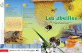 Les abeilles - lid.ch€¦ · Les hommes découvrirent bien vite que les abeilles étaient extrêmement précieuses pour la pollinisation des fleurs et que les abeilles domes-tiques