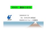 New REACH 最新の状況 · 2010. 11. 30. · REACH Article 31 Annex II REACH Article 33 Sufficient information, available to the supplier, to allow safe use of the article including,