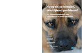 Hoog-risico honden, een bijtend probleem?... ISBN 978-94-92255-32-7 In dit fenomeenonderzoek ‘Hoog-risico honden, een bijtend probleem? wordt uitgebreid ingegaan op de vraag wat