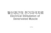 Electrical Stimulation of DenervatedMusclecontents.kocw.net/KOCW/document/2014/gacheon/limchaegil/... · 2016. 9. 9. · Stimulation) 신경근전기자극(Neuromuscular Electrical