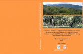 Estructura, dinámica y regeneración de los bosques mixtos ... · bosques mixtos de alcornoque (Quercus suberL.) y quejigo moruno (Quercus canariensis Willd.) del sur de la Península