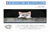 La revue de Doudou - Les Amis des Chats du Loiret...Photos prises simultanément d’un balcon des HLM. A gauche, à droite, des chats attendent en bas de l’immeuble que quelqu’un