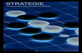 scorecard 02 strategie - Skyadvisoryskyadvisory.ch/wp-content/uploads/2015/02/scorecard_strategie.pdf · BRAUCHEN KMU EINE STRATEGIE? Eine Strategie zu haben, bedeutet, sich von der