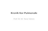 Kronik Kor Pulmonale - İstanbul Üniversitesicdn.istanbul.edu.tr/statics/ogrenci-istanbultip... · 1. Pulmoner arteriyel hipertansiyon (PAH) 1.1 İdiyopatik 1.2 Kalıtsal 1.2.1 BMPR2