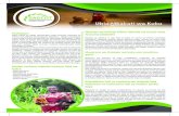 Ubia Mkakati wa Kuku - SAGCOTsagcot.co.tz/wp-content/uploads/2020/08/SAGCOT-Brochure... · 2020. 8. 13. · • Upatikanaji wa huduma za kifedha kwa watendaji katika mnyororo wa thamani