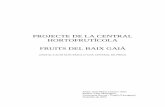 New PROJECTE DE LA CENTRAL HORTOFRUTÍCOLA FRUITS DEL …deeea.urv.cat/public/PROPOSTES/pub/pdf/374pub.pdf · 2009. 9. 22. · PROJECTE DE LA CENTRAL HORTOFRUTÍCOLA FRUITS DEL BAIX