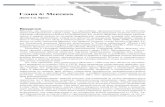 Глава 6: Мексика - Transitionpiracy.americanassembly.org/wp-content/uploads/2011/11/... · 2017. 7. 5. · ГЛАВА ШЕСТАЯ * МЕКСИКА 309 класса, чем