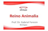 New 2Â° Ano - Reino Animalia · 2020. 5. 5. · Microsoft PowerPoint - 2Â° Ano - Reino Animalia Author: Feresin Created Date: 5/1/2020 11:08:09 AM ...