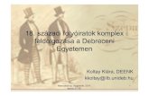 18. századi folyóiratok komplex feldolgozása a Debreceni ... · 18. századi folyóiratok komplex feldolgozása a Debreceni Egyetemen Koltay Klára, DEENK kkoltay@lib.unideb.hu.