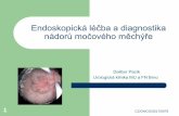 Endoskopická léčba a diagnostika nádorů močového měchýře...high risk superficial bladder cancer: is cystectomy often too early? J Urol 2001 165(3) ... Mariappan, BJUI, 2011,