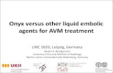 Onyx versus other liquid embolic agents for AVM treatment€¦ · Onyx versus other liquid embolic agents for AVM treatment LINC 2020, Leipzig, Germany Walter A. Wohlgemuth University