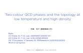 Two-colour QCD phases and the topology at low temperature ...be.nucl.ap.titech.ac.jp/cluster/content/files/2020...(2)フェルミオン作用にダイクォーク源をいれる QCD