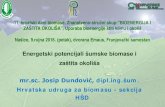 11. hrvatski dani biomase, Znanstvenostručni skup ... · 11. hrvatski dani biomase, Znanstvenostručni skup:”BIOENERGIJA I - ZAŠTITA OKOLIŠA”, Uporaba bioenergije štiti klimu