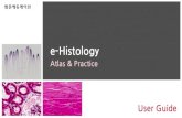e-Histology - jnu.ac.krlib.jnu.ac.kr/file/e-Histology_User_Guide.pdf · 2020. 3. 17. · e-Histology e-Histology는대한부학회와 범문에듀케이션이만든조직학실습
