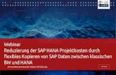 Webinar Reduzierung der SAP HANA Projektkosten durch ......2017/12/14  · 35 SAP HCM Payroll Landesversionen Spezialisiert auf SAP HCM Beratung Teil der EPI-USE Gruppe 85 Entwickler