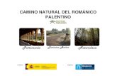 CAMINO NATURAL DEL ROMÁNICO PALENTINOrecorrepicos.com/DATOS/Caminos_naturales_romanico_palentino_2… · CAMINO NATURAL DEL ROMÁNICO PALENTINO Camino Natural del Románico Palentino.