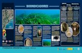 BIOINDICADORES - en.benissa.net · A la reserva marina de l’Illa de Tabarca, a Alacant, es duen a terme estudis de les poblacions de nacra (Pinna nobilis), mol· lusc endèmic de