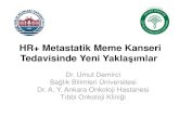 HR+ Metastatik Meme Kanseri Tedavisinde Yeni Yaklaşımlar...PALOMA 1 – Subgrup Analizi All patients (intention-to-treat population) Cohort 1 2 Age group (years)