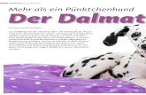 VORGESTELLT | DALMATINER Mehr als ein Pünktchenhund Der …€¦ · hunderasse vorzubeugen, werden in der Schweiz nur Dalmatiner mit dem Resultat HDA oder HDB zur Zucht zugelassen.