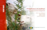 INSTITUUT Voederbomen in de landbouw Meer waarde per … · 2014. 11. 5. · onder nummer 2014-029 LbD Verantwoording en voorwoord Deze brochure is onderdeel van het Praktijknetwerk