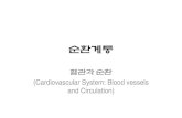 New (Cardiovascular System: Blood vessels and Circulation)contents.kocw.or.kr/KOCW/document/2014/Seowon/yoonwan... · 2016. 9. 9. · 순환계통 혈관과 순환 (Cardiovascular