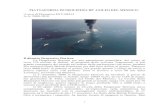 PIATTAFORMA PETROLIFERA BP -GOLFO DEL MESSICO- ecologici/DiCarlo - BP-GolfoMex2010.pdf · Louisiana, nel Golfo del Messico. Il 2 settembre 2009 la Deepwater Horizon ha trivellato