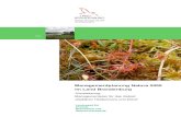 Managementplanung Natura 2000 im Land Brandenburg€¦ · Managementplanung Natura 2000 für das FFH-Gebiet „Seddiner Heidemoore und Düne“ Gebietscharakteristik 2 1. Gebietscharakteristik