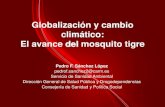 Globalización y cambio climático: El avance del mosquito tigre · El mosquito tigre asiático. Aedes albopictus. De origen asiático. Las hembras se alimentan de sangre humana.