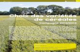 Choix des variétés de céréales - Synagri.comFILE/Terra-Dossier-Cereales... · Une nouvelle fois, les orges d'hiver et les escourgeons obtiennent d'excellents résultats. Ils vont
