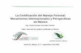 La Certificación del Manejo Forestal: Mecanismos ...Santa Fe, México, D. F. septiembre 8 de 2006Santa Fe, México, D. F. septiembre 8 de 2006. Antecedentes • Una vez agotados los