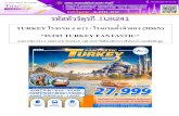 TUR241 - TURKEY FANTASTIC 9D6N W5 FEB APR 20 (IST03)1 รหัสทัวร์ตุรกี tur241 turkey โรงแรม 4 ดาว / โรงแรมถ ้าจ าลอง